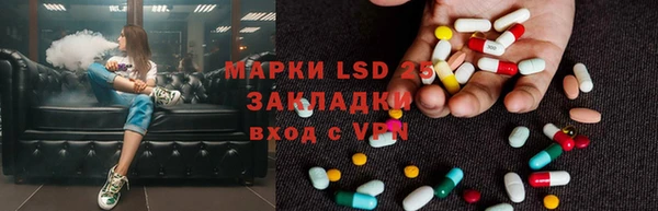 прущие грибы Балабаново