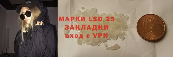 прущие грибы Балабаново