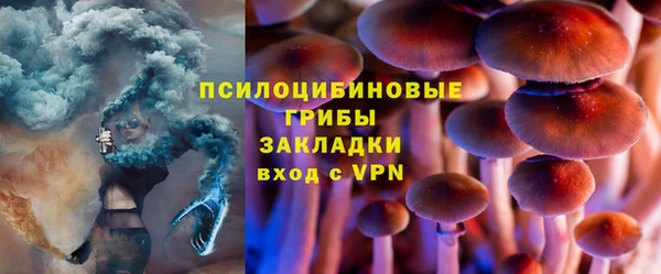 PSILOCYBIN Балахна
