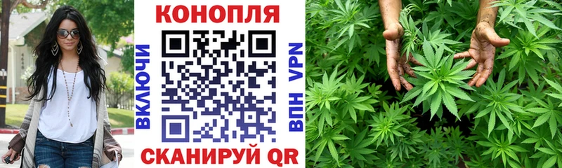 Канабис план  Томмот 